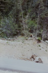 SideofRoad2