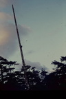 TotemPoleVictoria
