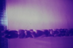 IMAG0025