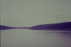 IMAG0029