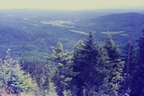 IMAG0006